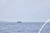 Scallop fishing vessel