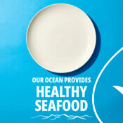 GIFS - When We Take Care of Our Ocean - National Seafood Month 2022