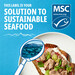 Tuna Social Media - National Seafood Month 2022