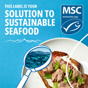 Tuna Social Media - National Seafood Month 2022