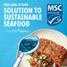 Salmon Social Media - National Seafood Month 2022