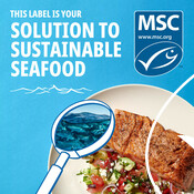 Salmon Social Media - National Seafood Month 2022