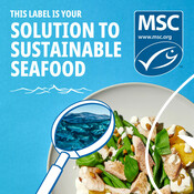 White Fish Social Media - National Seafood Month 2022
