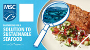 Salmon Co-Brand - National Seafood Month 2022