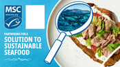 Tuna Co-Brand - National Seafood Month 2022