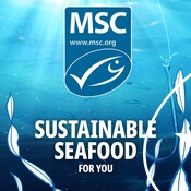 Campaign Video 4 - National Seafood Month 2022