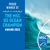 Social media graphics for MSC partner US Ocean Champion awards