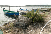 BluFish project - octopus fishery in Sardinia