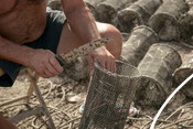 BluFish project - octopus fishery in Sardinia