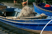 BluFish project - octopus fishery in Sardinia