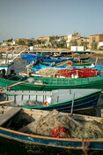 BluFish project - octopus fishery in Sardinia