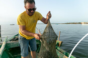 BluFish project - octopus fishery in Sardinia