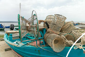 BluFish project - octopus fishery in Sardinia