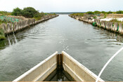 BluFish project - octopus fishery in Sardinia