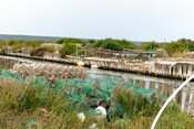 BluFish project - octopus fishery in Sardinia