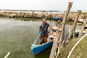 BluFish project - octopus fishery in Sardinia