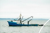 Albacore Tuna Fishing Boat - AAFA fishery