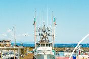 Albacore Tuna Fishing Boat docked - AAFA fishery