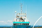 Albacore Tuna Fishing Boat closeup - AAFA fishery