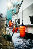 Albacore Tuna Fishing Boats in Westport Washington - AAFA fishery