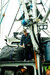 Jack Vantress on fishing boat - AAFA fishery