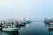 Westport Washington Scenery - boats in the fog - AAFA fishery