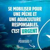 Réseaux sociaux - Carrousel Enjeux de la pêche et de l’aquaculture responsables 