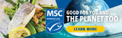 Digital Displays - Multiple Sizes - Earth and Seafood Month Assets