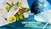 Toolkit - Earth Month Assets