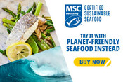 Display / Banner Ad Graphics for Recipe Sites - Update for Earth Month / New Year Campaigns 