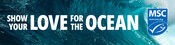 Display Banner Ads Various Sizes - Show Your Love for the Ocean