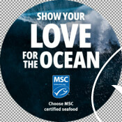 Shelf talker - Show Your Love for the Ocean