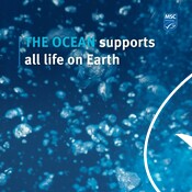 Ocean Support Video - Show Your Love for the Ocean