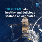 Sustainable Seafood World Ocean Day Video - Show Your Love for the Ocean