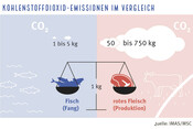 CO2 Fußabdruck Fisch vs Fleisch (c MSC)