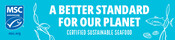 Email Signature Banner - Better Standards - evergreen