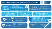 Infographie de présentation MSC - SPAR 2024