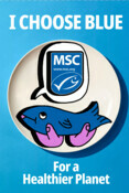Social Media Graphic (Various Formats) - Hands holding fish with speech bubbles - I Choose Blue - Earth Month Campaign 2024