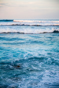 Waves maldives coastline beach