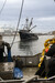 Squid boat coming into the dock at Fish Harbor, California Market Squid