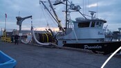 B-roll of docks and offloading at the California Market Squid Fishery