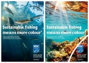 Visual More Colour - World Ocean Day 2024