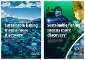 Visual More Discovery - World Ocean Day 2024 