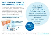 Postcards - Consumer MSC 101 info (5x7'') - Print - Earth Month Campaign 2024