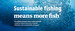 Web banner - More Fish