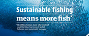 Web banner - More Fish