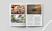 Magazine mockup - More Choice