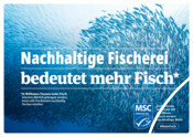 Mehr Fisch - Key Visual für World Ocean Day 2024