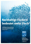 Mehr Fisch - Key Visual für World Ocean Day 2024_RGB