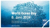 Toolkit für Partner - World Ocean Day 2024